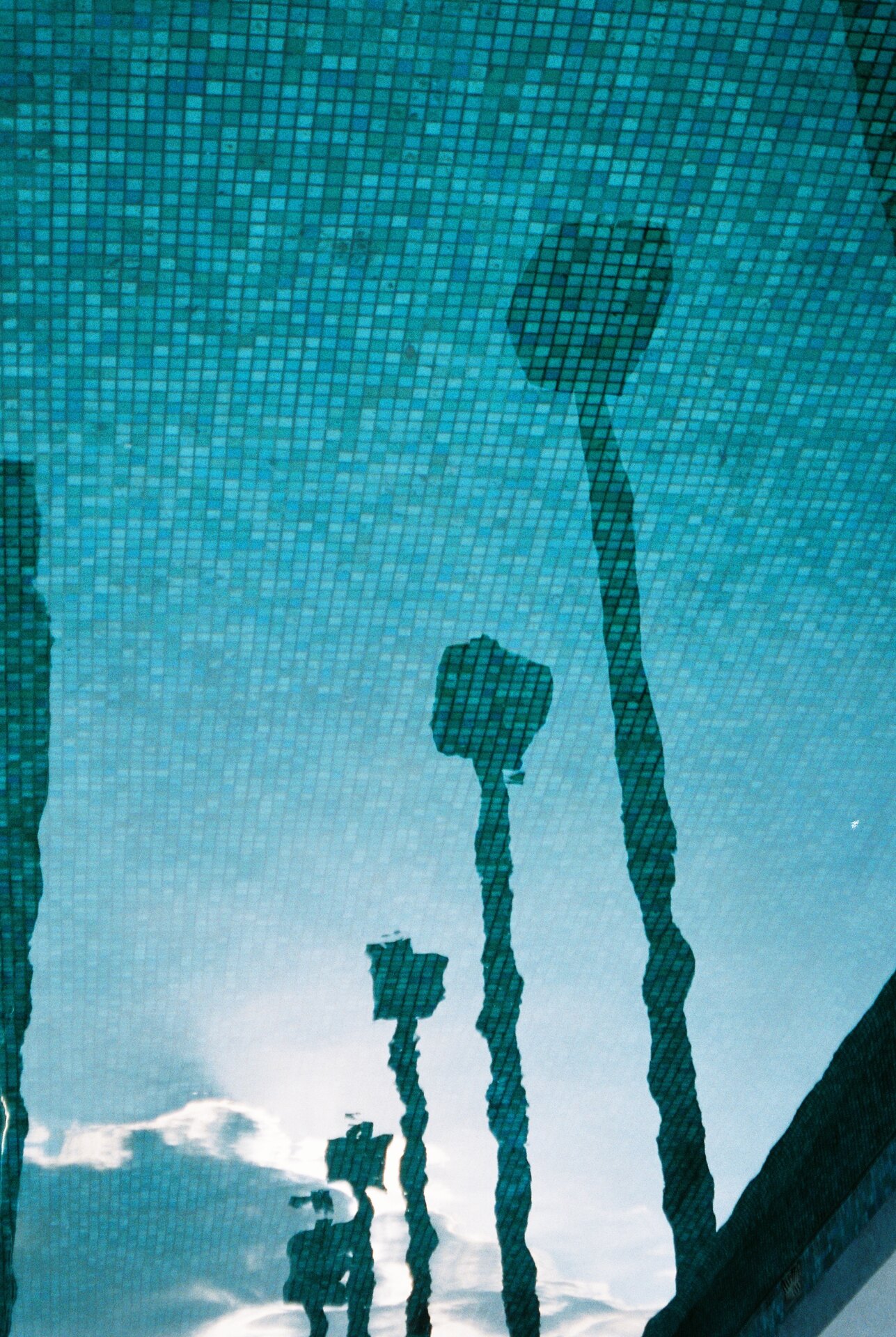 Diego Gardo diary photograph 3