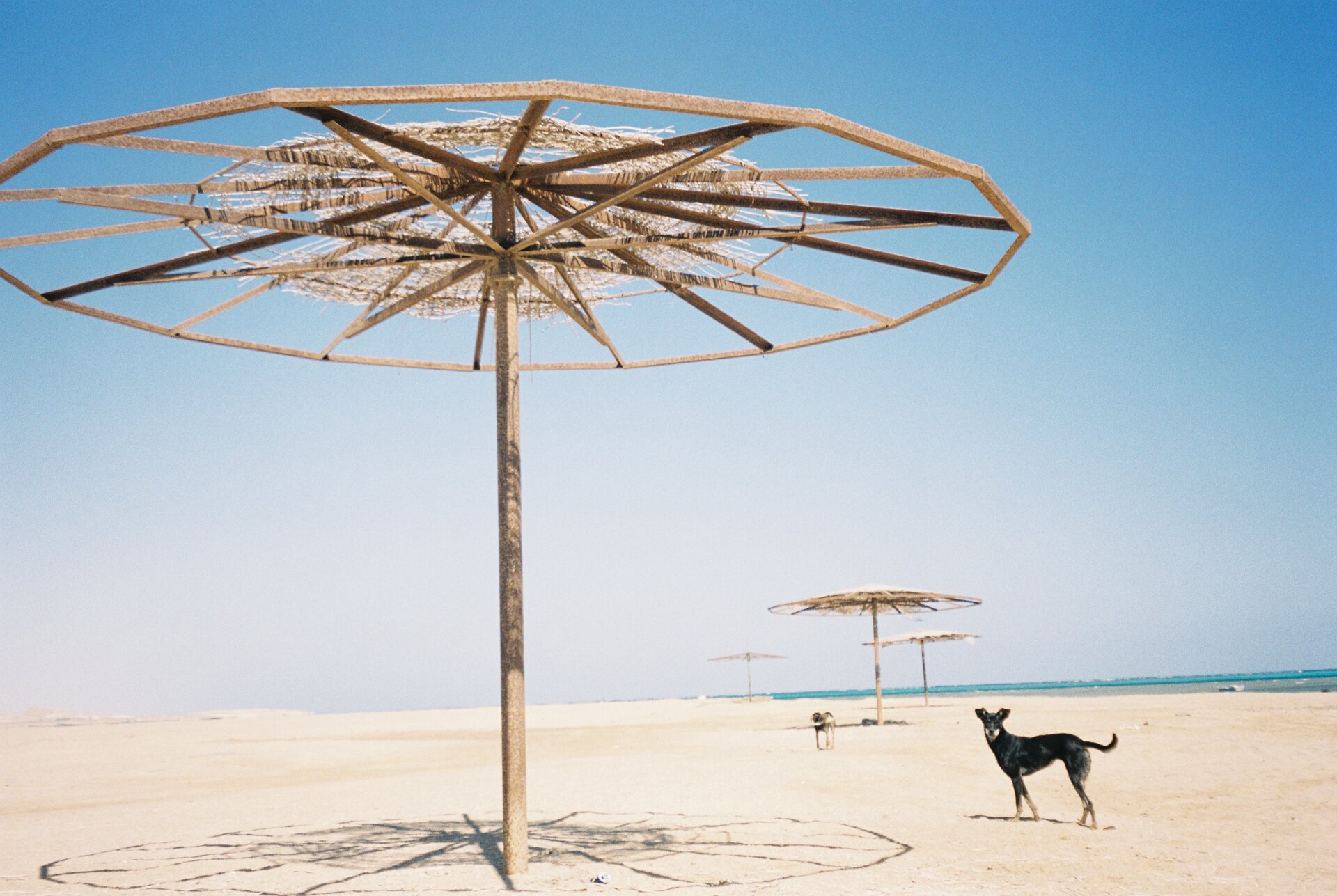 Diego Gardo diary photograph 8