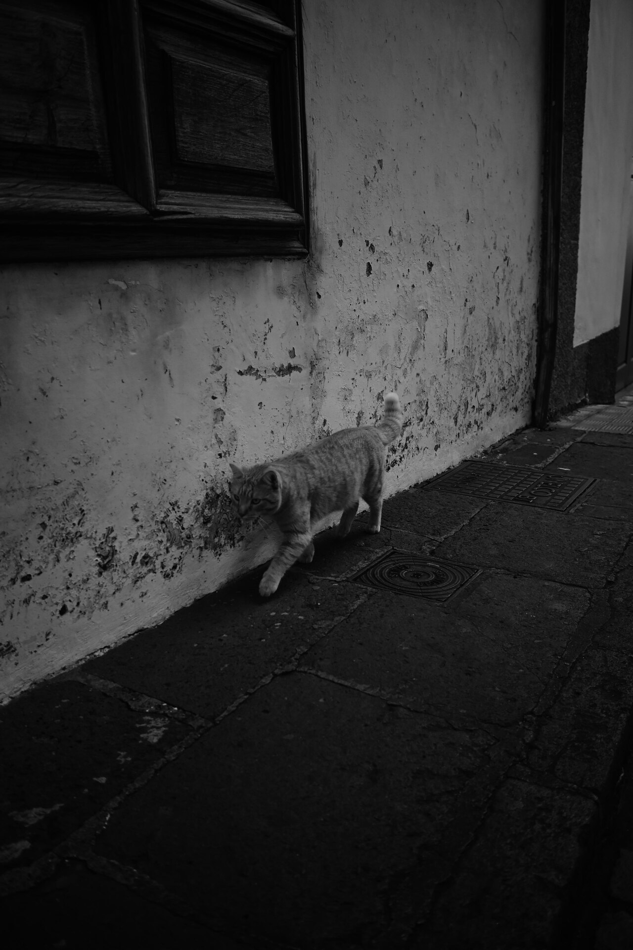 Diego Gardo diary photograph 12